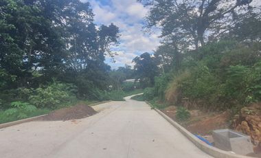 TERRENOS EN VENTA FRACCIONAMIENTO SAN BENITO, COATEPEC