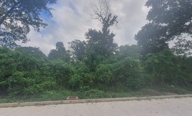 TERRENOS EN VENTA FRACCIONAMIENTO SAN BENITO, COATEPEC