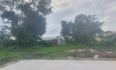 TERRENOS EN VENTA FRACCIONAMIENTO SAN BENITO, COATEPEC