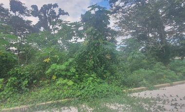 TERRENOS EN VENTA FRACCIONAMIENTO SAN BENITO, COATEPEC