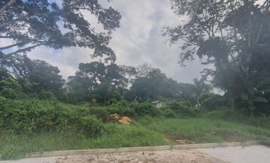 TERRENOS EN VENTA FRACCIONAMIENTO SAN BENITO, COATEPEC