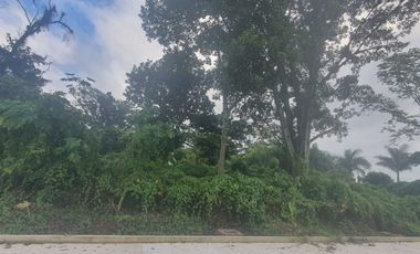 TERRENOS EN VENTA FRACCIONAMIENTO SAN BENITO, COATEPEC