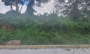 TERRENOS EN VENTA FRACCIONAMIENTO SAN BENITO, COATEPEC