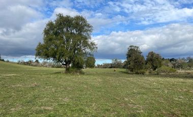 Parcela Los Muermos, Región de los Lagos