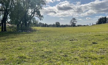Parcela Los Muermos, Región de los Lagos