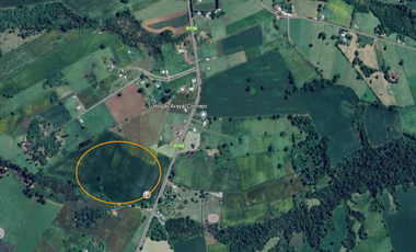 Parcela Los Muermos, Región de los Lagos