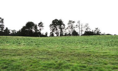 Se Vende Parcela en Llanquihue en Brisas de Loncotoro Región de los Lagos