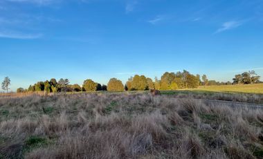 Se Vende Parcela en Llanquihue en Brisas de Loncotoro Región de los Lagos