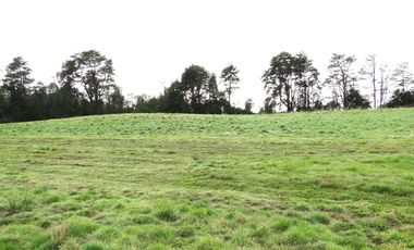 Se Vende Parcela en Llanquihue en Brisas de Loncotoro Región de los Lagos