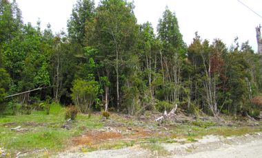 Parcela en Pargua, Maullin