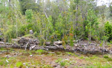 Parcela en Pargua, Maullin