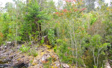 Parcela en Pargua, Maullin