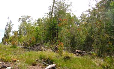 Parcela en Pargua, Maullin