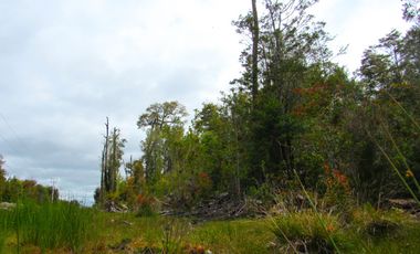 Parcela en Pargua, Maullin