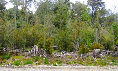 Parcela en Pargua, Maullin