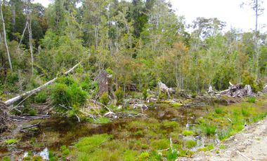 Parcela en Pargua, Maullin