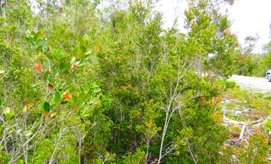 Parcela en Pargua, Maullin