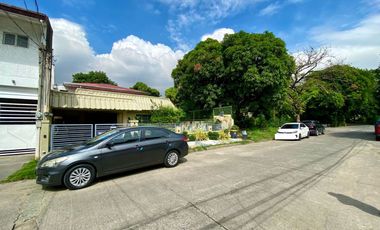 Dona Rosario Heights | House and Lot For Sale - #7739