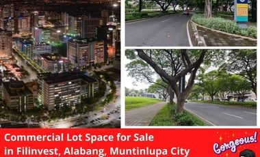 Commercial Lot for sale in Metro Manila, Muntinlupa City
