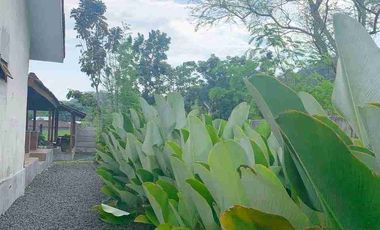 Rumah Villa Klasik View Sawah Pegunungan Luas 671 m²