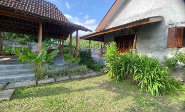 Rumah Villa Klasik View Sawah Pegunungan Luas 671 m²