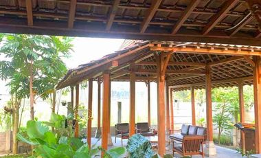 Rumah Villa Klasik View Sawah Pegunungan Luas 671 m²