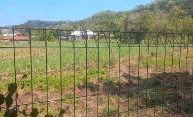 Rumah Villa Klasik View Sawah Pegunungan Luas 671 m²