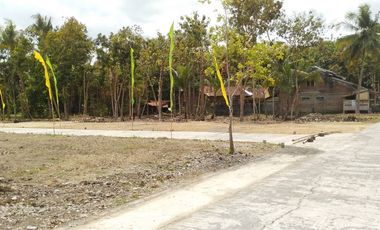 Jual Tanah Kavling di Sentolo Kulon Progo Yogyakarta Dekat RS Queen Latifa, Pasar Sentolo