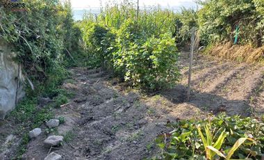 Venta de terreno en Atuntaqui en la Av. San Vicente, 500 m2