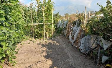 Venta de terreno en Atuntaqui en la Av. San Vicente, 500 m2