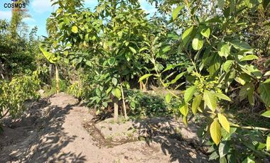 Venta de terreno en Atuntaqui en la Av. San Vicente, 500 m2