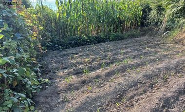 Venta de terreno en Atuntaqui en la Av. San Vicente, 500 m2