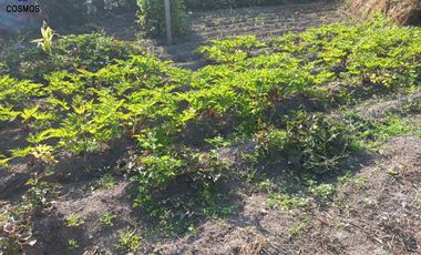 Venta de terreno en Atuntaqui en la Av. San Vicente, 500 m2