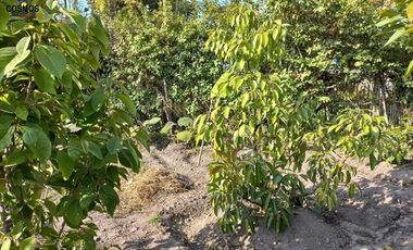 Venta de terreno en Atuntaqui en la Av. San Vicente, 500 m2