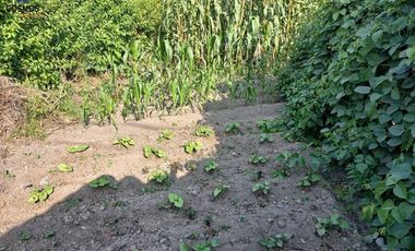 Venta de terreno en Atuntaqui en la Av. San Vicente, 500 m2