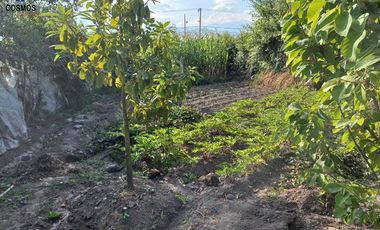 Venta de terreno en Atuntaqui en la Av. San Vicente, 500 m2