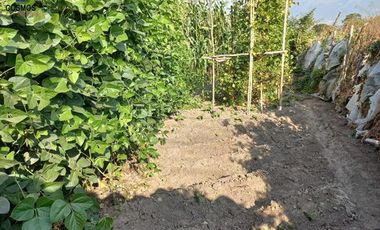 Venta de terreno en Atuntaqui en la Av. San Vicente, 500 m2