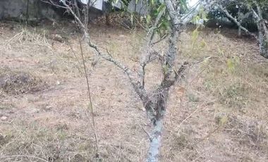 LOTE EN CONDOMINIO LA MESA CUNDINAMARCA