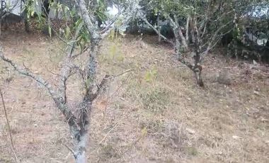 LOTE EN CONDOMINIO LA MESA CUNDINAMARCA