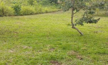 VENDO LOTE 600M2 CONDOMINIO RESORT YANASHPA VILLAGE, TARAPOTO