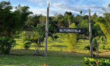 VENDO LOTE 600M2 CONDOMINIO RESORT YANASHPA VILLAGE, TARAPOTO