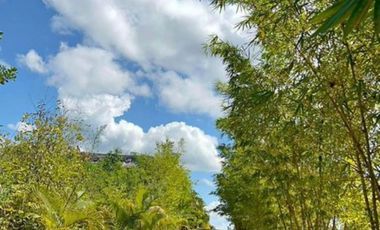 VENDO LOTE 600M2 CONDOMINIO RESORT YANASHPA VILLAGE, TARAPOTO