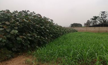 Terreno en Venta, 5,763 m2, con Pozo Subterráneo Propio en Pachacamac