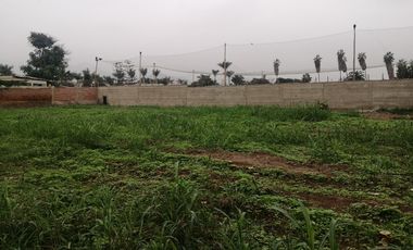 Terreno en Venta, 5,763 m2, con Pozo Subterráneo Propio en Pachacamac