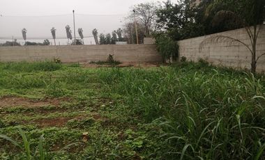 Terreno en Venta, 5,763 m2, con Pozo Subterráneo Propio en Pachacamac