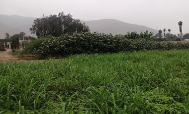 Terreno en Venta, 5,763 m2, con Pozo Subterráneo Propio en Pachacamac