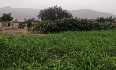 Terreno en Venta, 5,763 m2, con Pozo Subterráneo Propio en Pachacamac