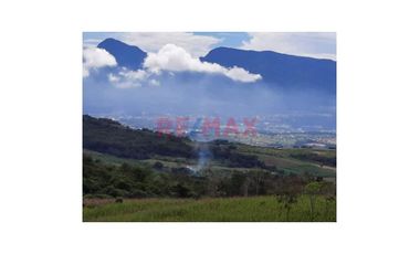 Oportunidad Única!!! 6 Hectáreas De Terreno A La Venta