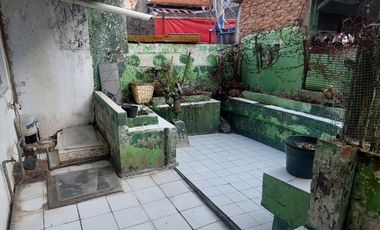Rumah Mangga Besar Bawah NJOP Dijual Cepat