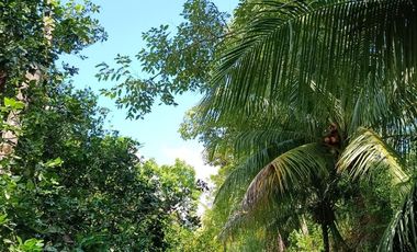 Quizás ahora solo buscas un lugar tranquilo junto al río y una casa de campo para disfrutar la vida junto a quienes más amas.